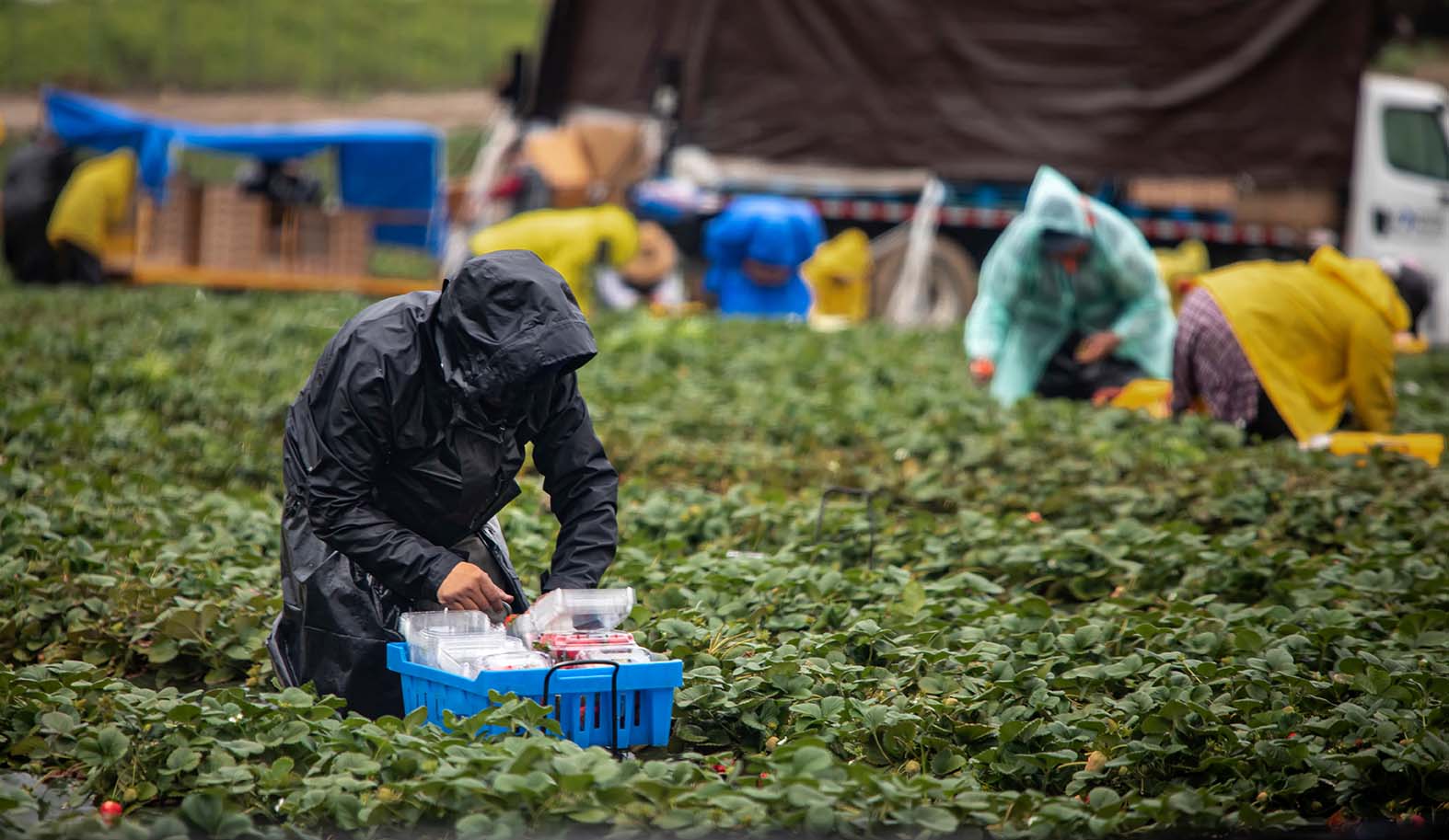 FLORIDA ACUSÓ INJUSTAMENTE A MIGRANTES BAJO LA LEY ESTATAL A PESAR DE LA CONGELACIÓN DE LA CORTE FEDERAL